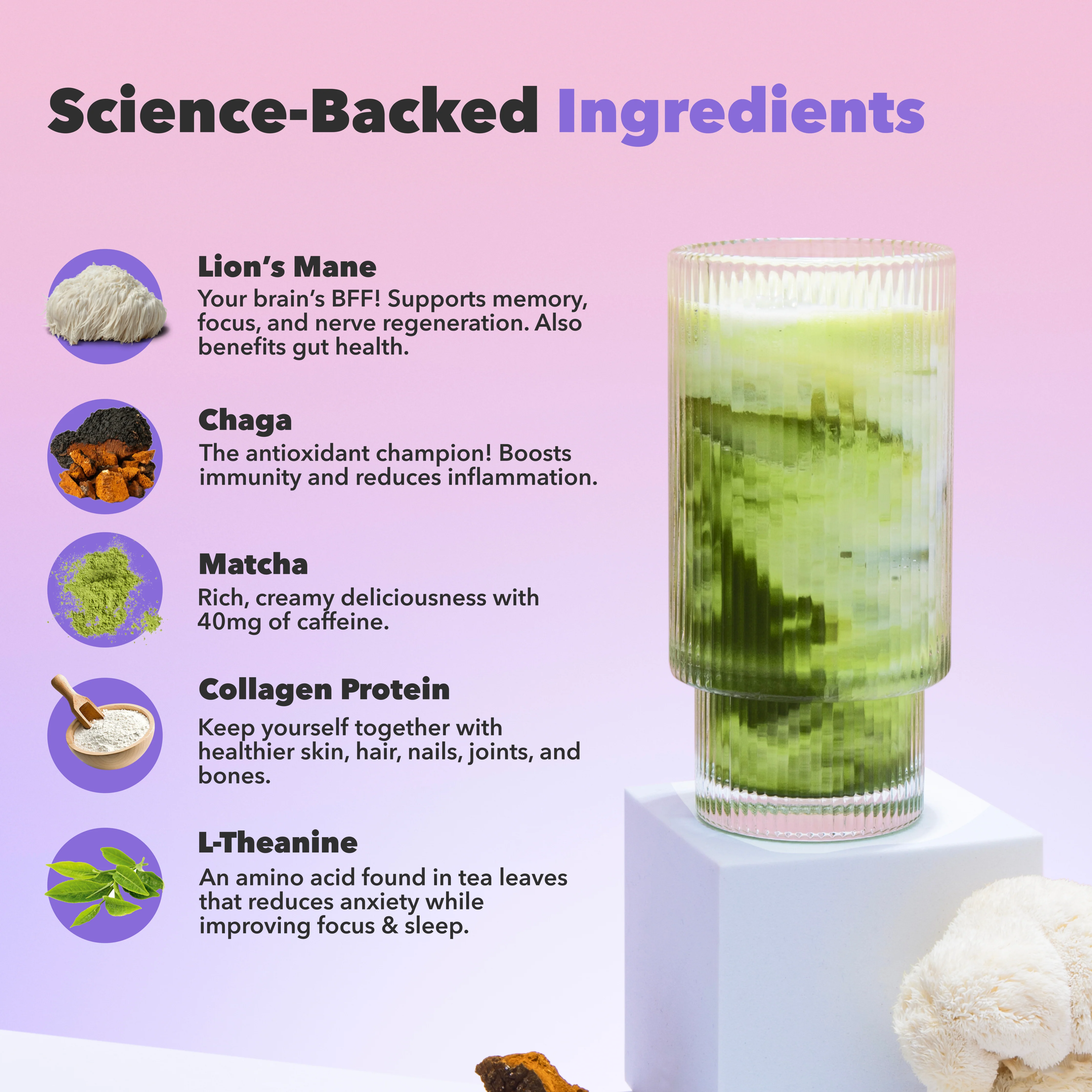 [EVENTS 10-Pack Matcha - Image 3