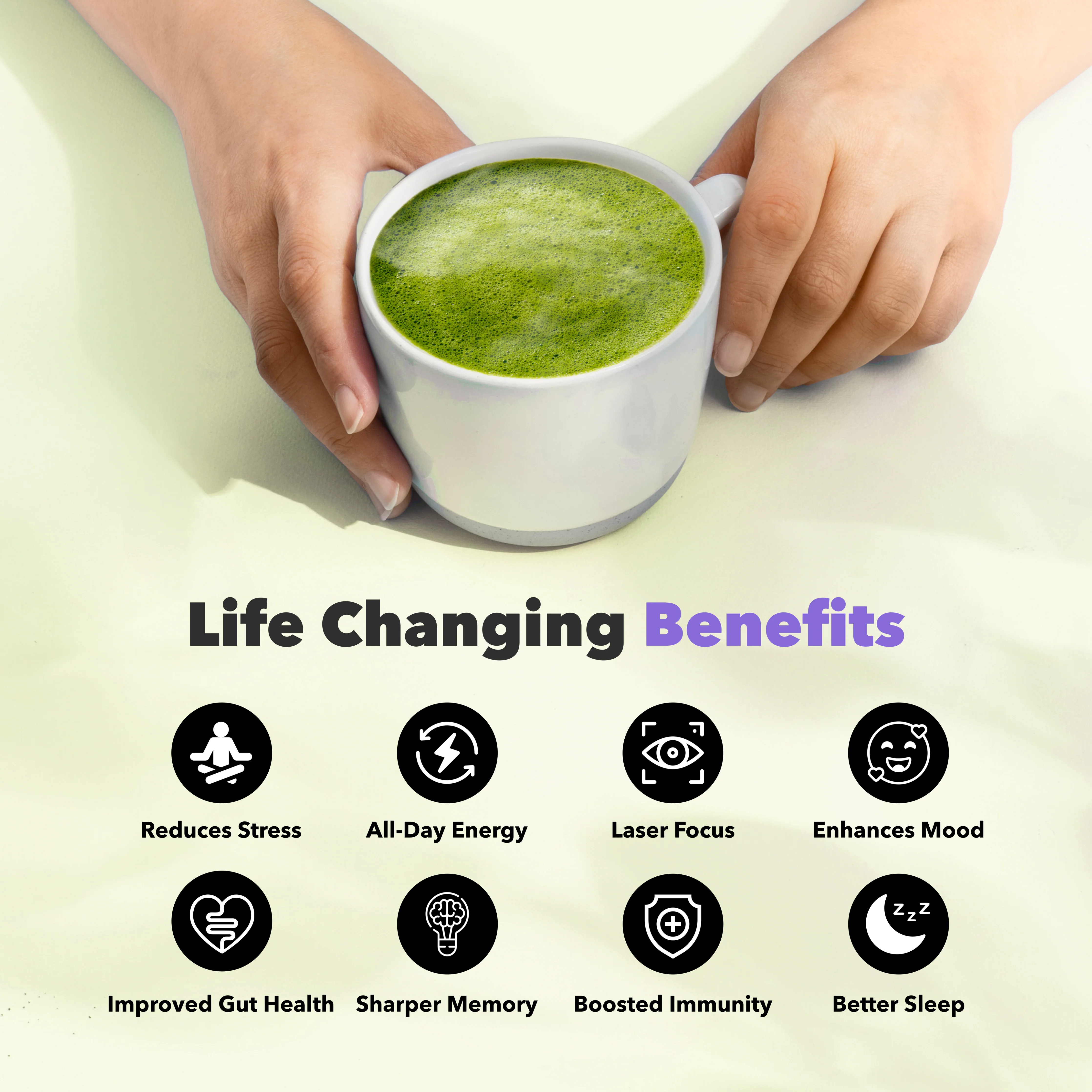 [EVENTS 10-Pack Matcha - Image 5